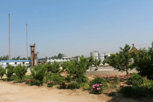 厂区一角