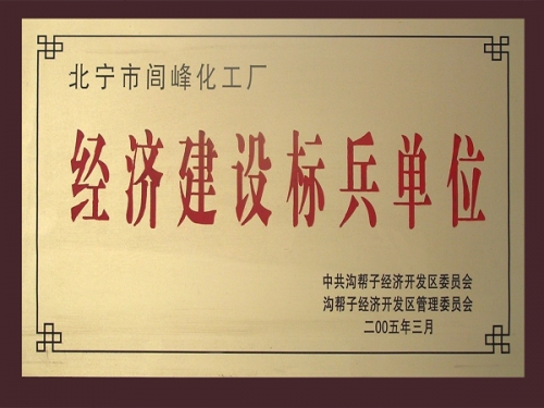 2005年经济建设标兵单位