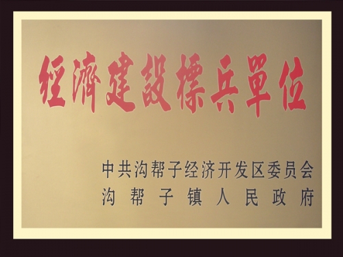 经济建设标兵单位