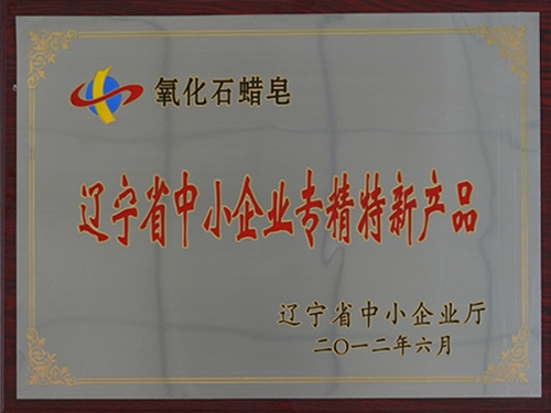 辽宁省中小企业专精特新产品