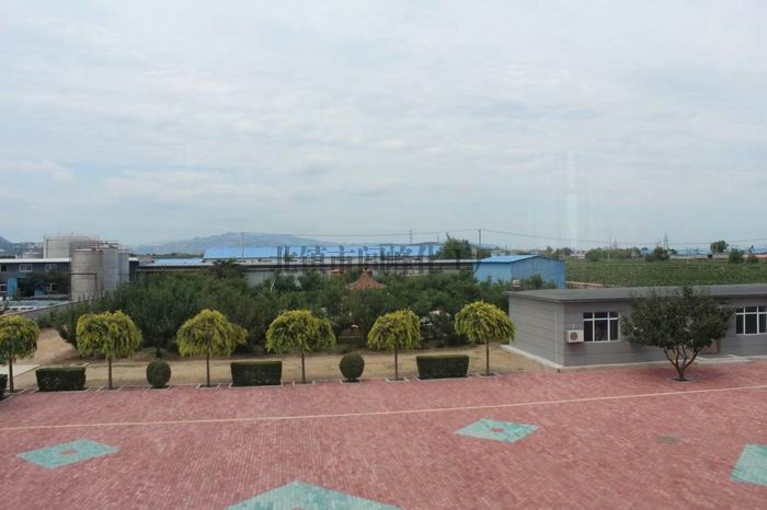 氧化石蜡皂厂家